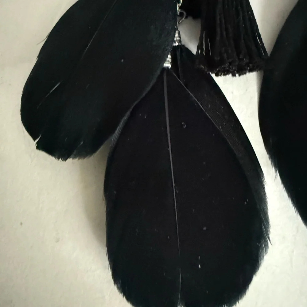 Chic Black Feather and Black  Tassel Earrings - Picture 12 of 14